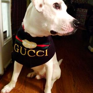 Dog "G" bandanas *📸 Sale*